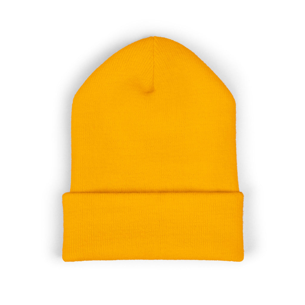 PRYTHMWORKS KNIT CAP